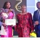 Adesina, others receive Nigerian diaspora global Icon award