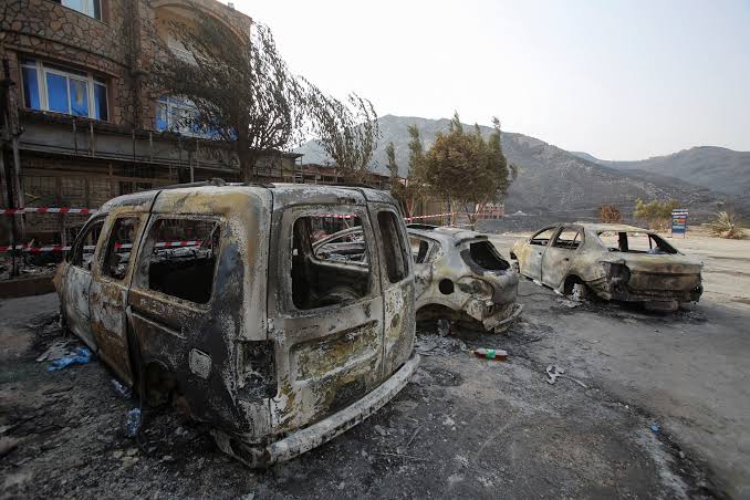 Deadly fires rage along Algeria coast, spread to Tunisia