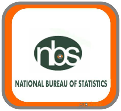 National Bureau of Statistics (NBS)